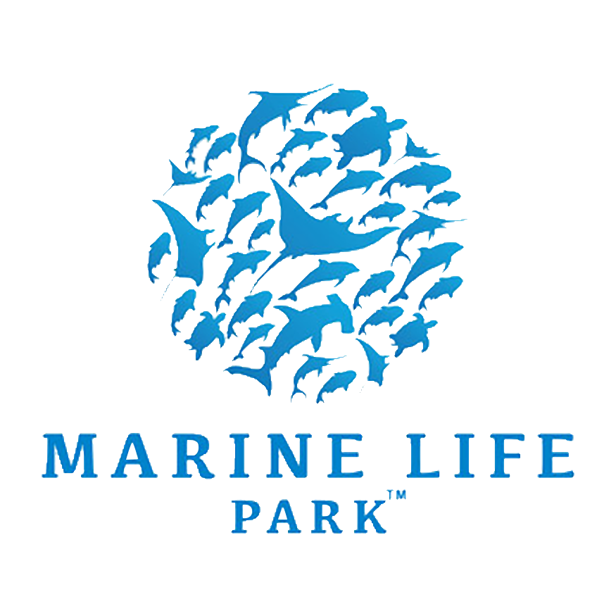 marine-life-park-singapore